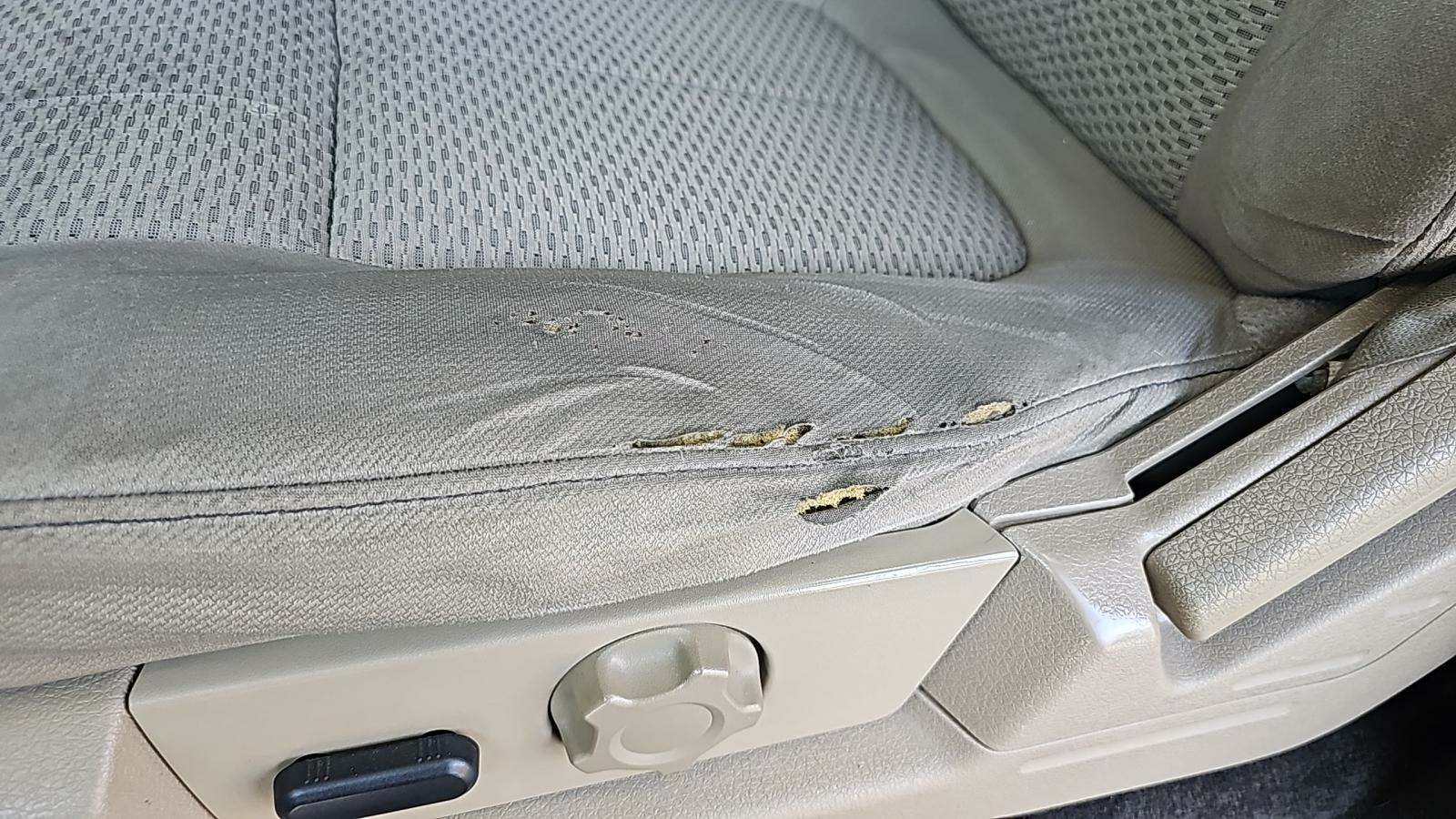 2010 Ford F-150 XLT AWD