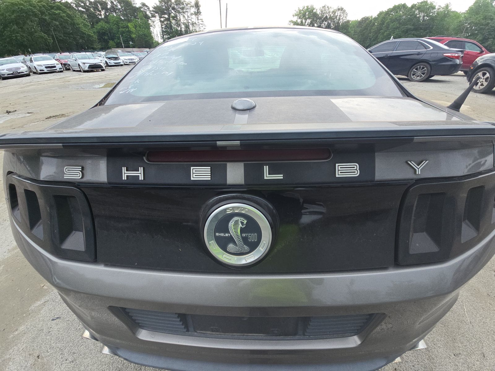 2014 Ford Mustang Shelby GT500 RWD