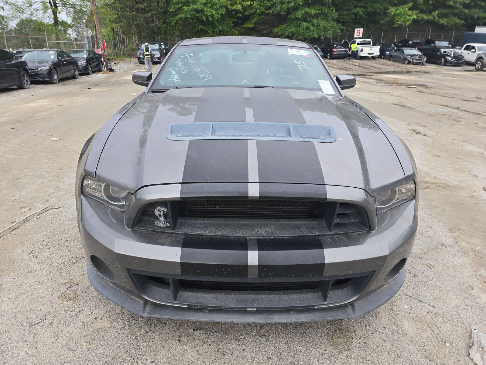 2014 Ford Mustang Shelby GT500 RWD