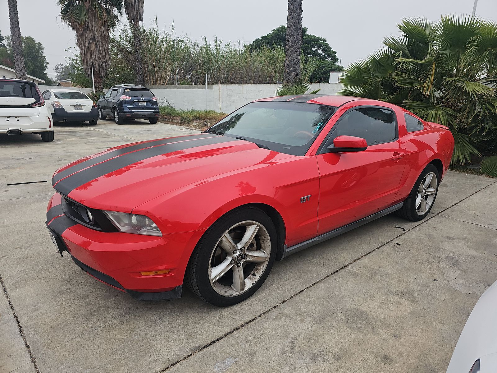 2010 Ford Mustang GT FWD
