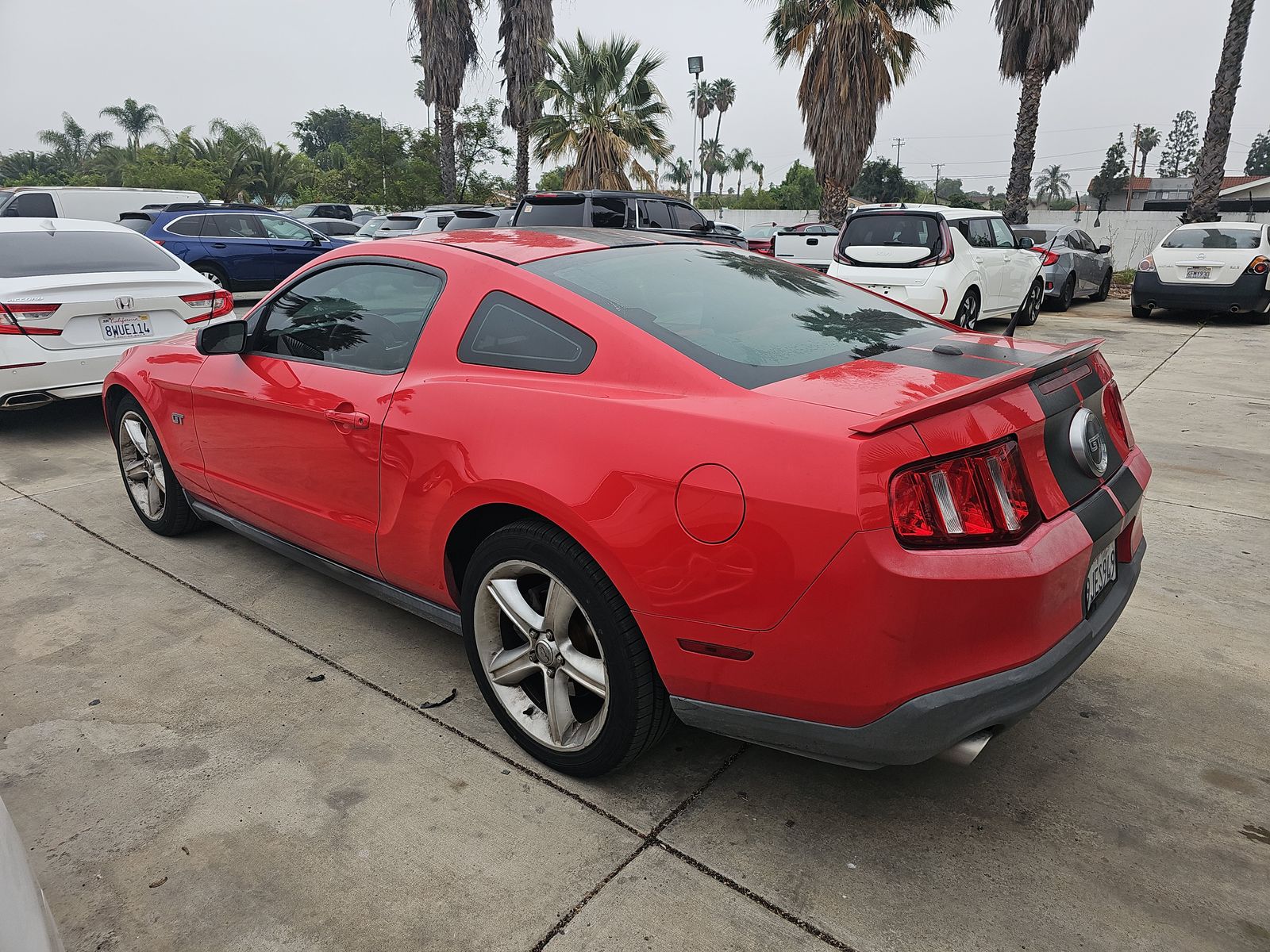 2010 Ford Mustang GT FWD