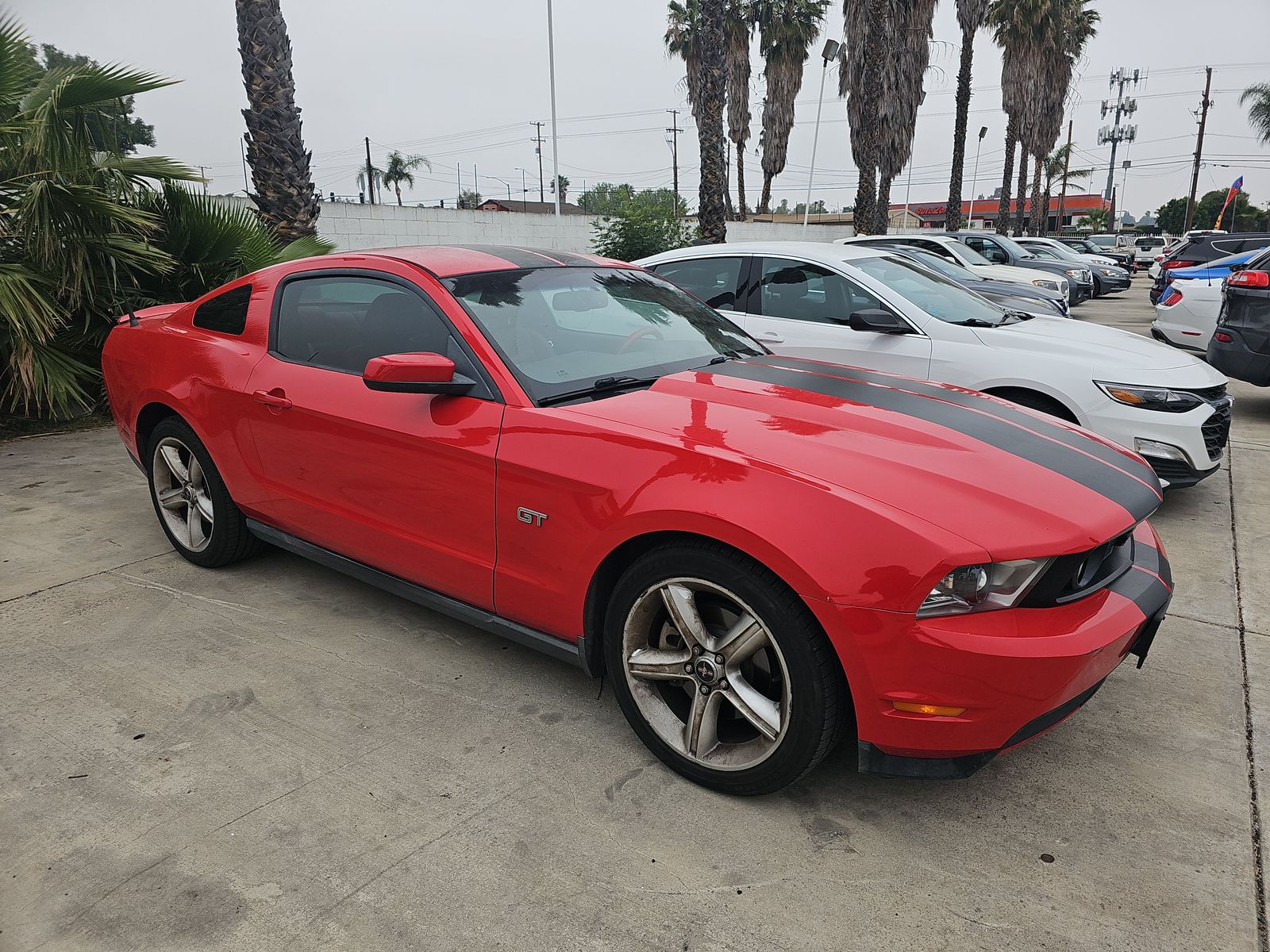 2010 Ford Mustang GT FWD