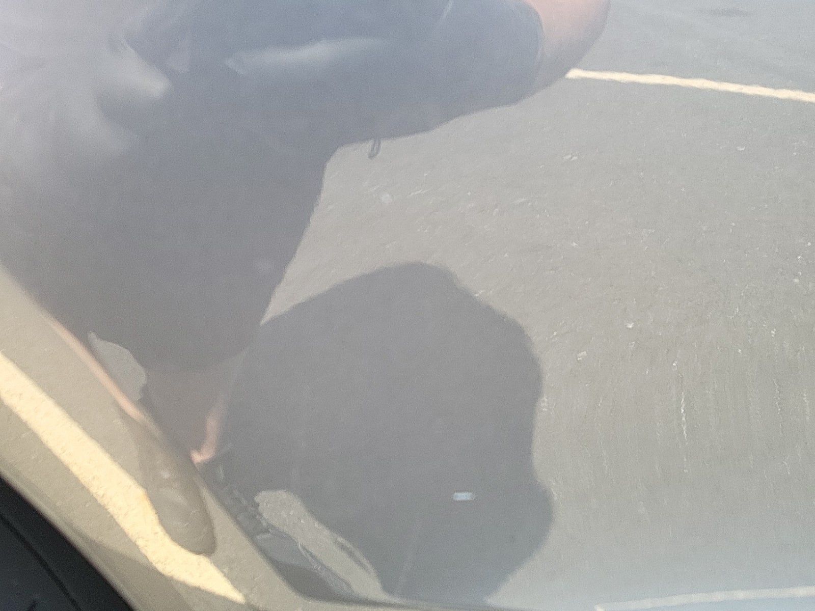 2015 Audi SQ5 Prestige AWD