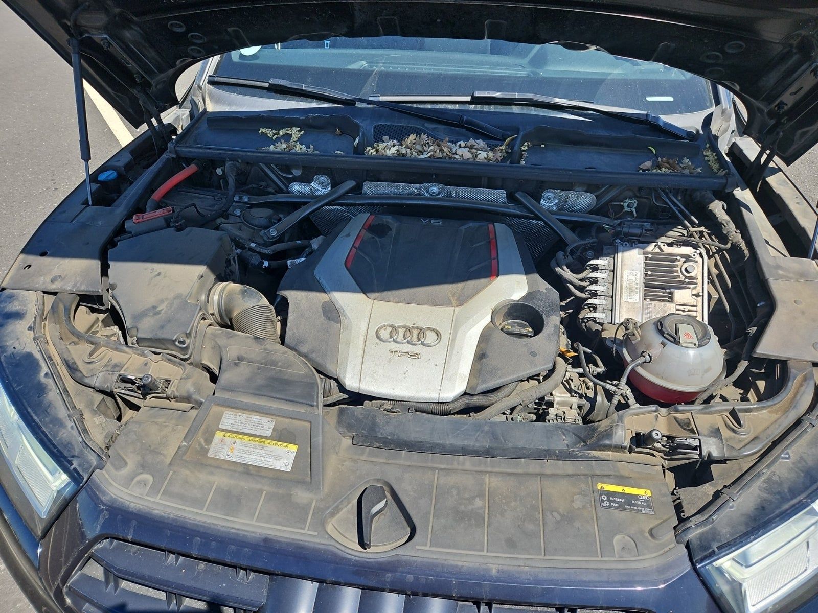 2019 Audi SQ5 Premium Plus AWD