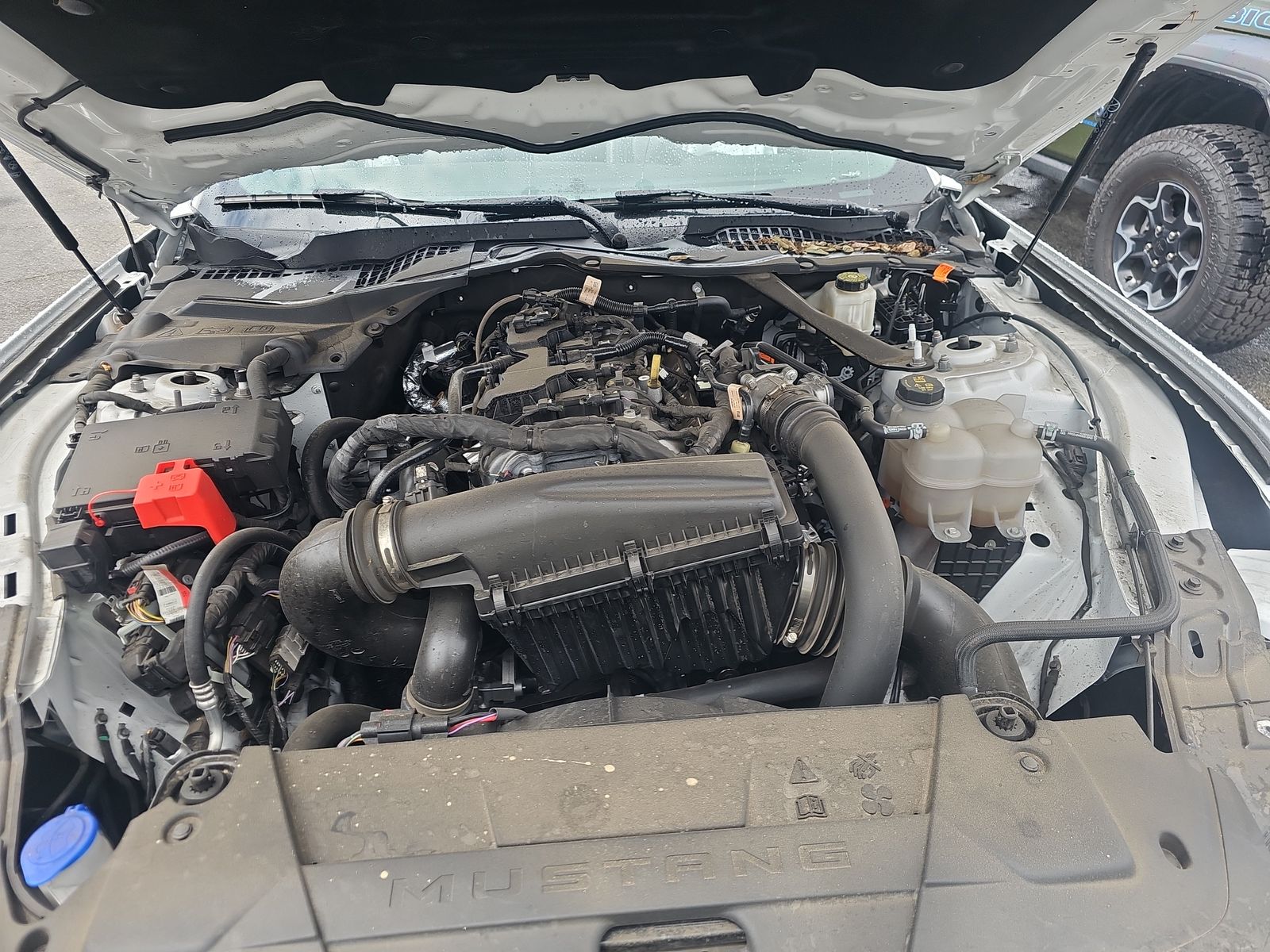 2024 Ford Mustang EcoBoost Premium RWD