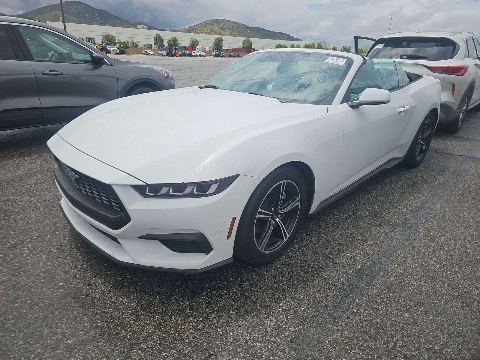 2024 Ford Mustang EcoBoost Premium RWD