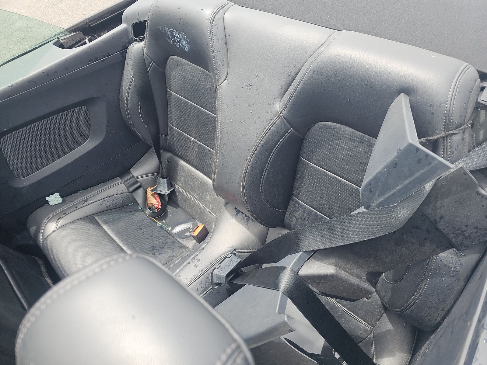 2024 Ford Mustang EcoBoost Premium RWD