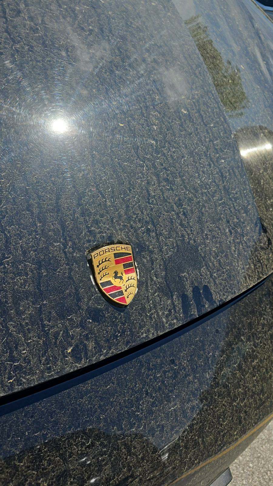 2022 Porsche Panamera Base RWD