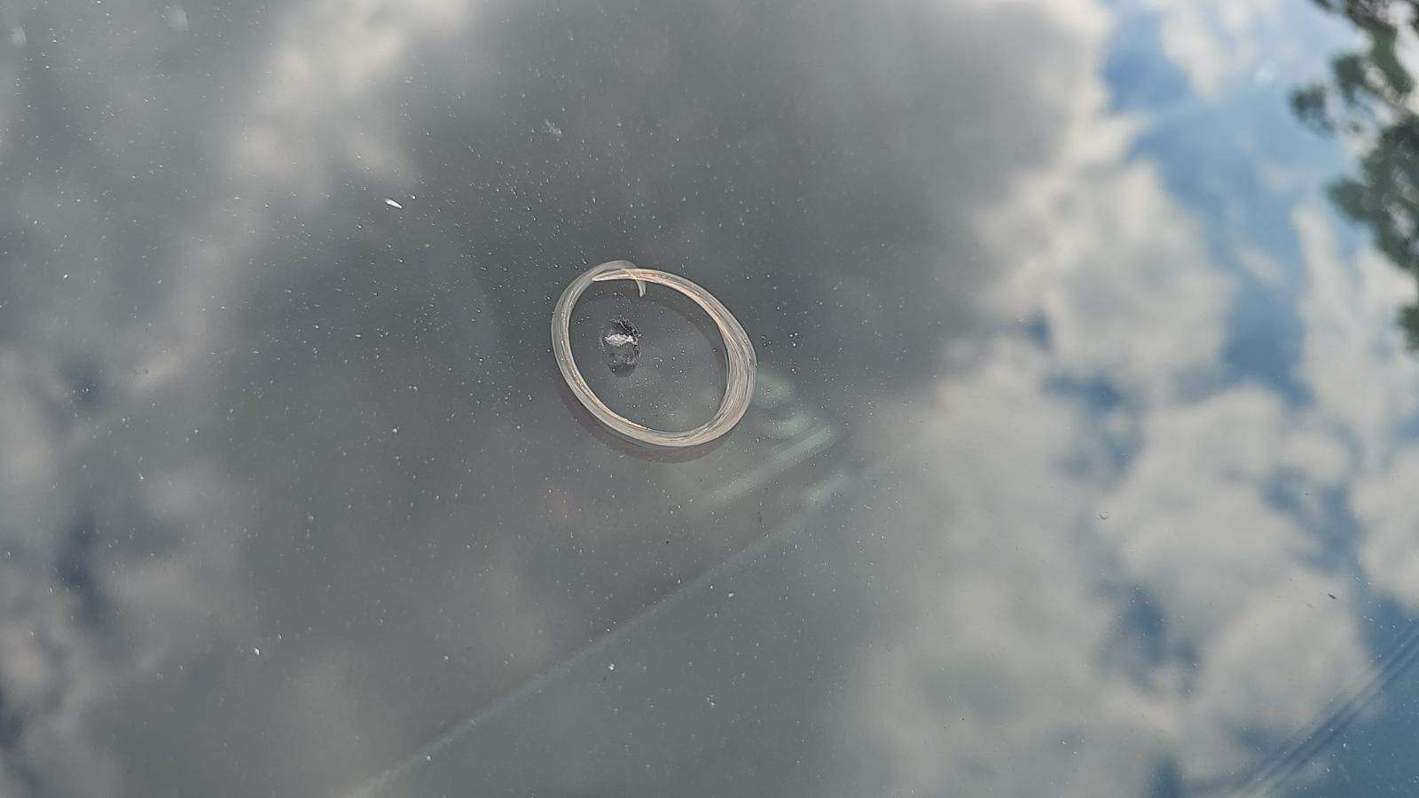 2017 Mercedes-Benz GLS GLS 550 AWD