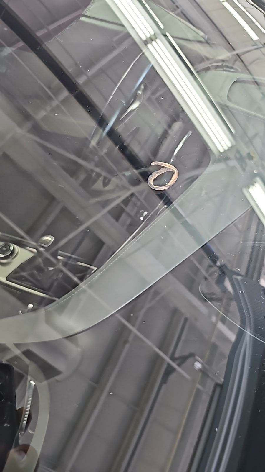 2014 Chevrolet Corvette Stingray Z51 RWD