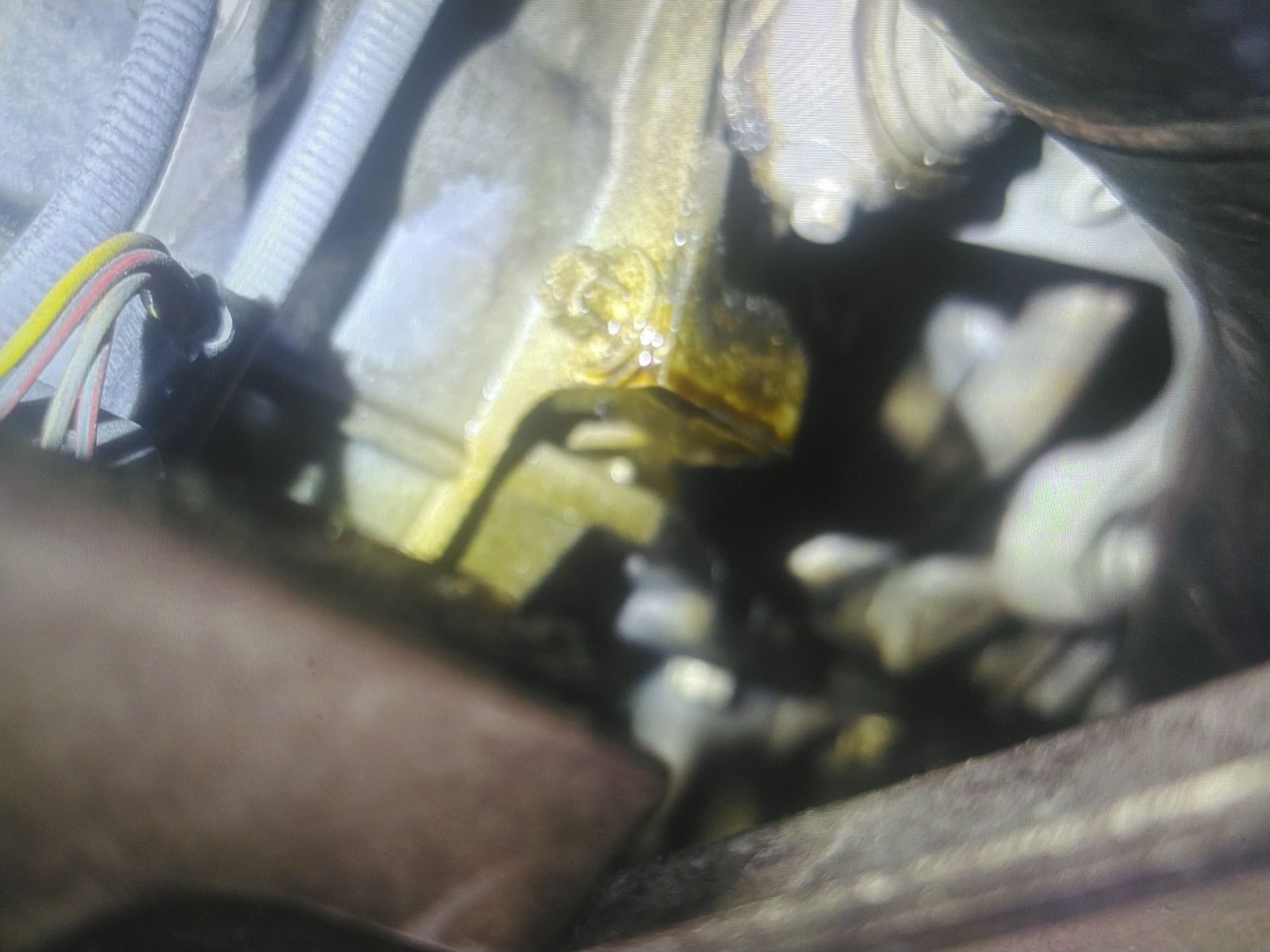 2015 BMW M4 Base RWD