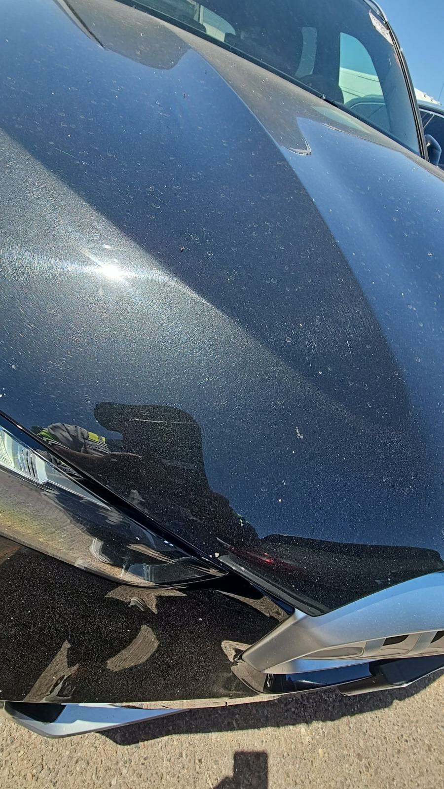 2025 BMW X5 sDrive40i RWD