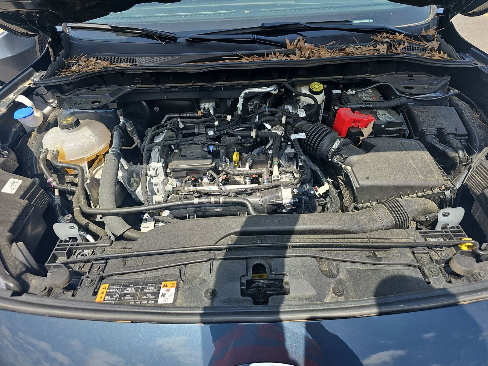 2022 Ford Escape SE AWD