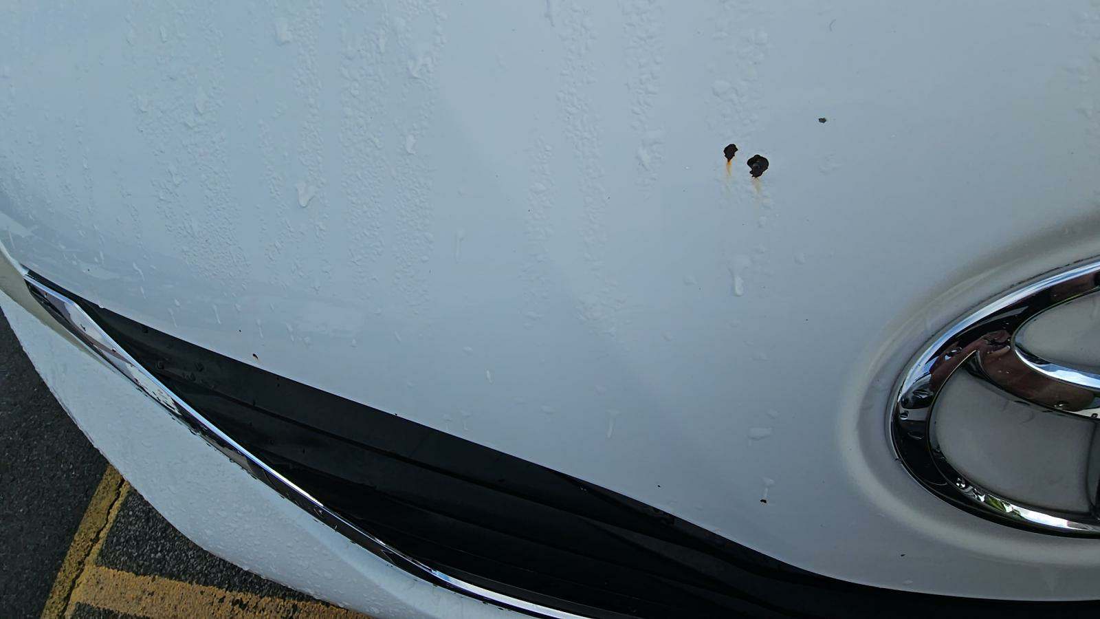 2014 Toyota Sienna LE AWD