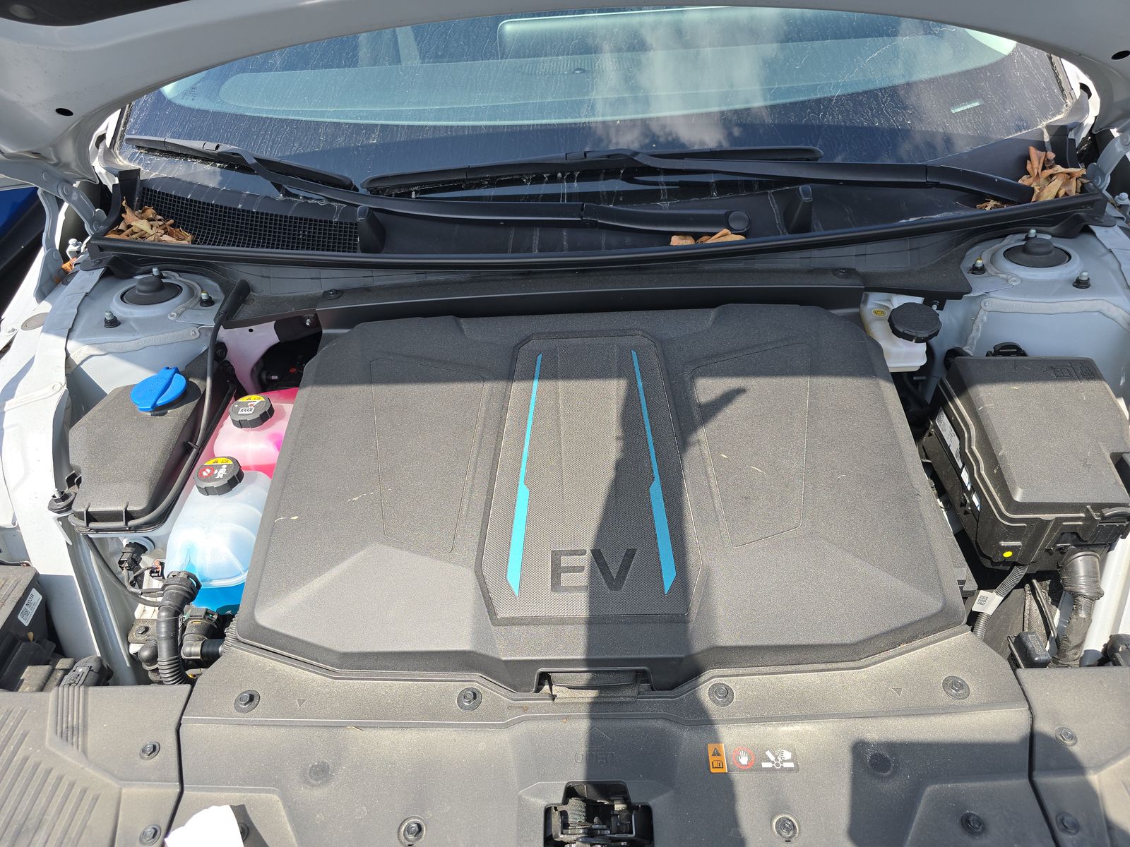 2024 Hyundai IONIQ 5 SEL AWD