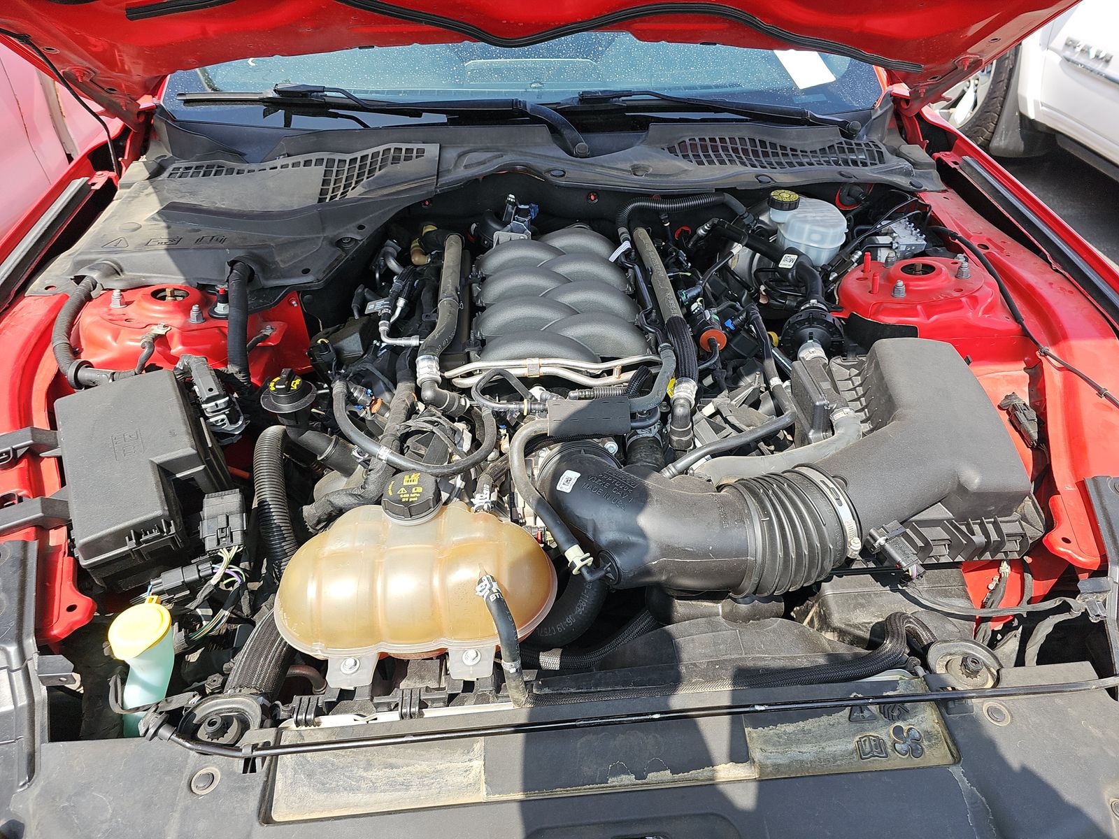 2019 Ford Mustang GT RWD