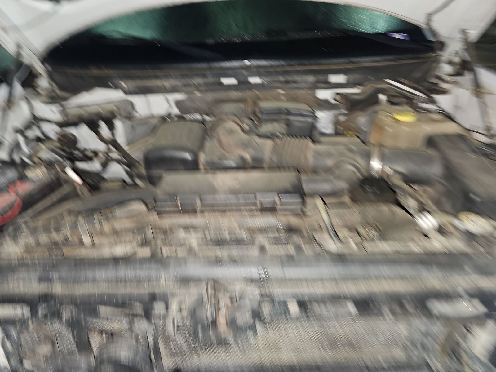 2010 Ford F-150 Raptor AWD