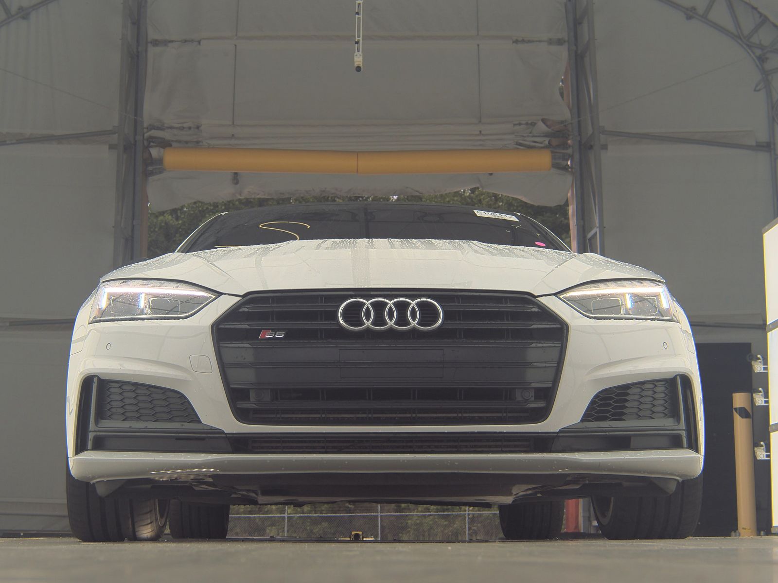 2019 Audi S5 Premium Plus AWD