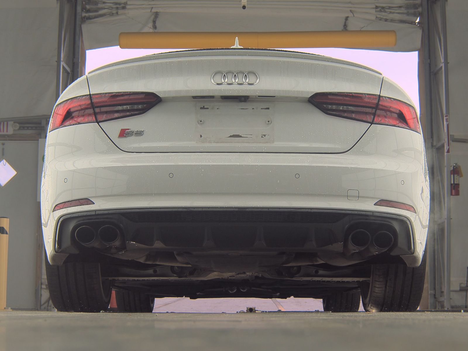 2019 Audi S5 Premium Plus AWD