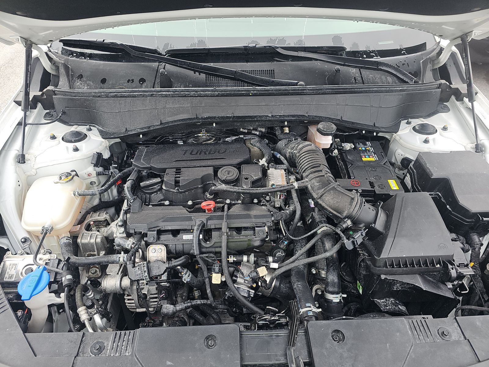 2024 Hyundai Kona Limited AWD