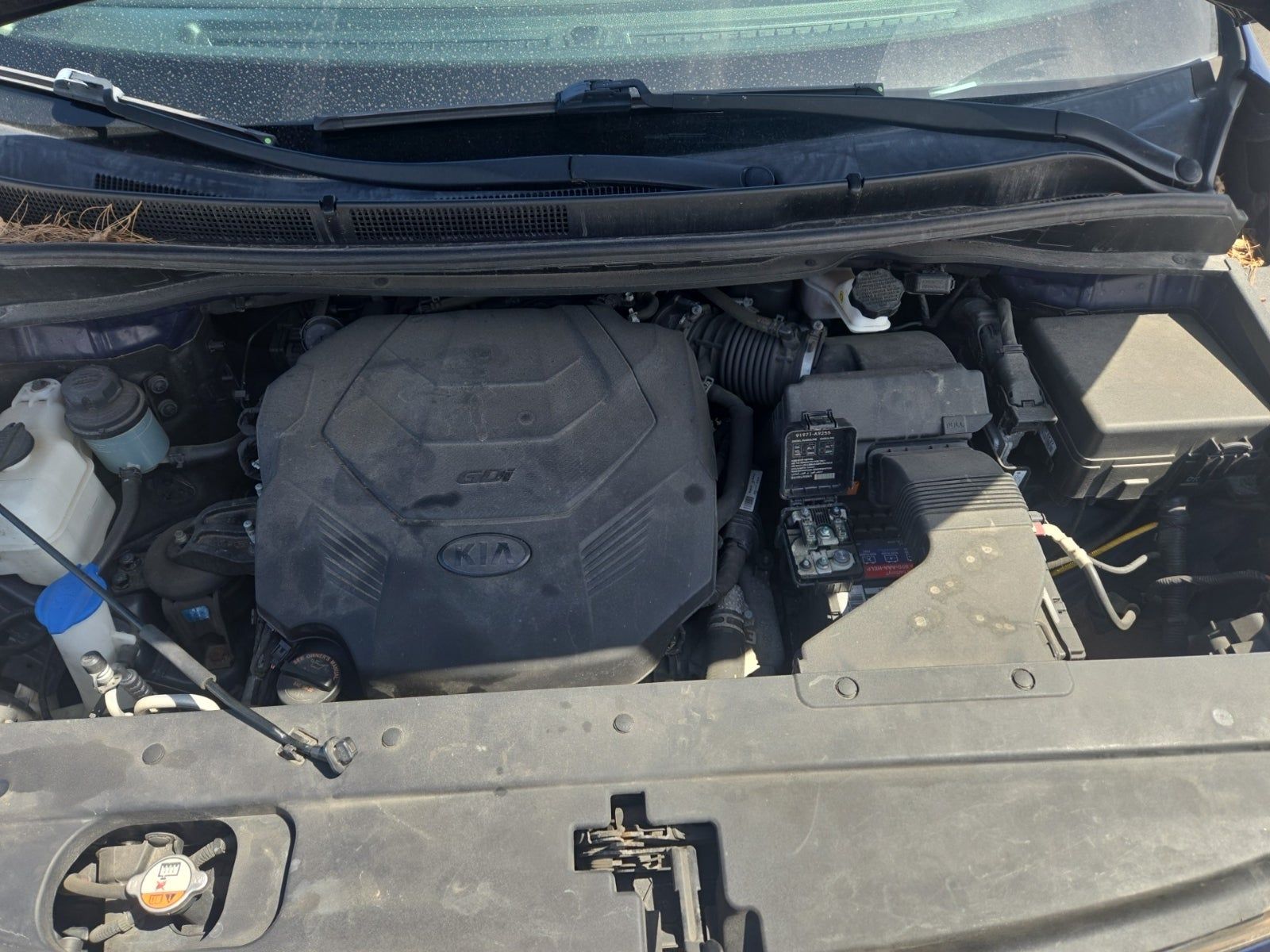 2019 Kia Sedona LX FWD