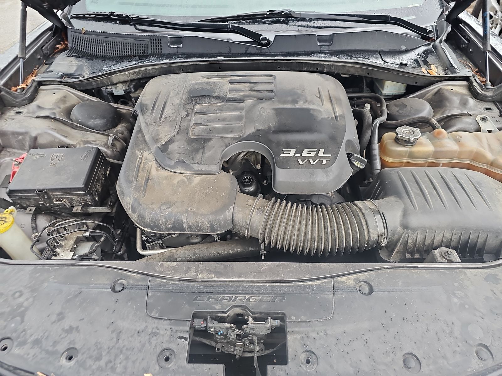 2019 Dodge Charger SXT RWD