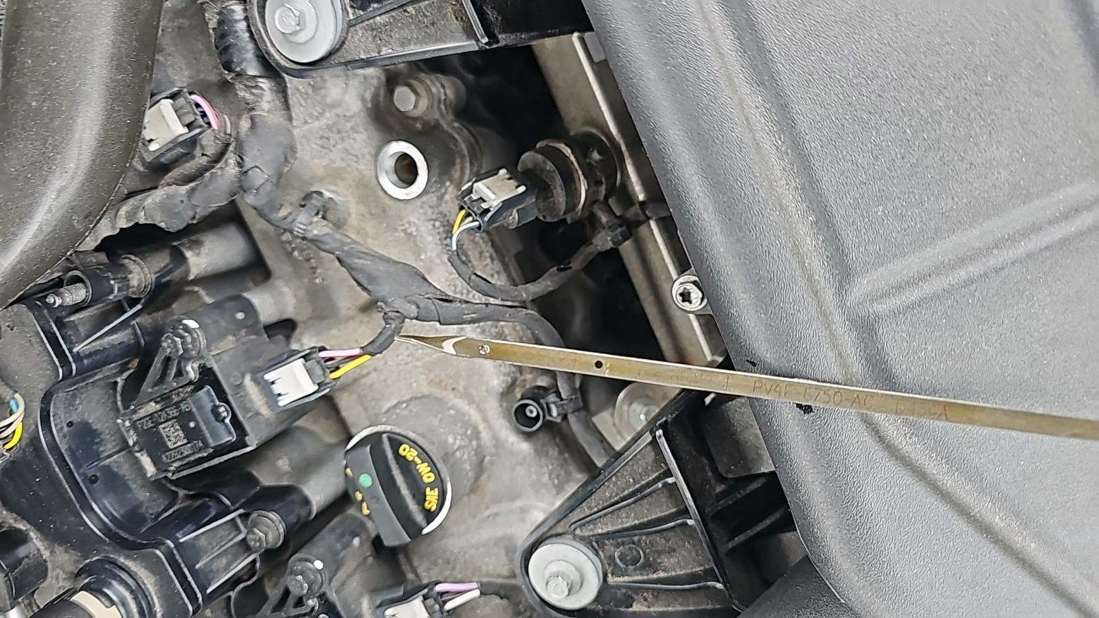 2023 Ford Escape ST-Line FWD