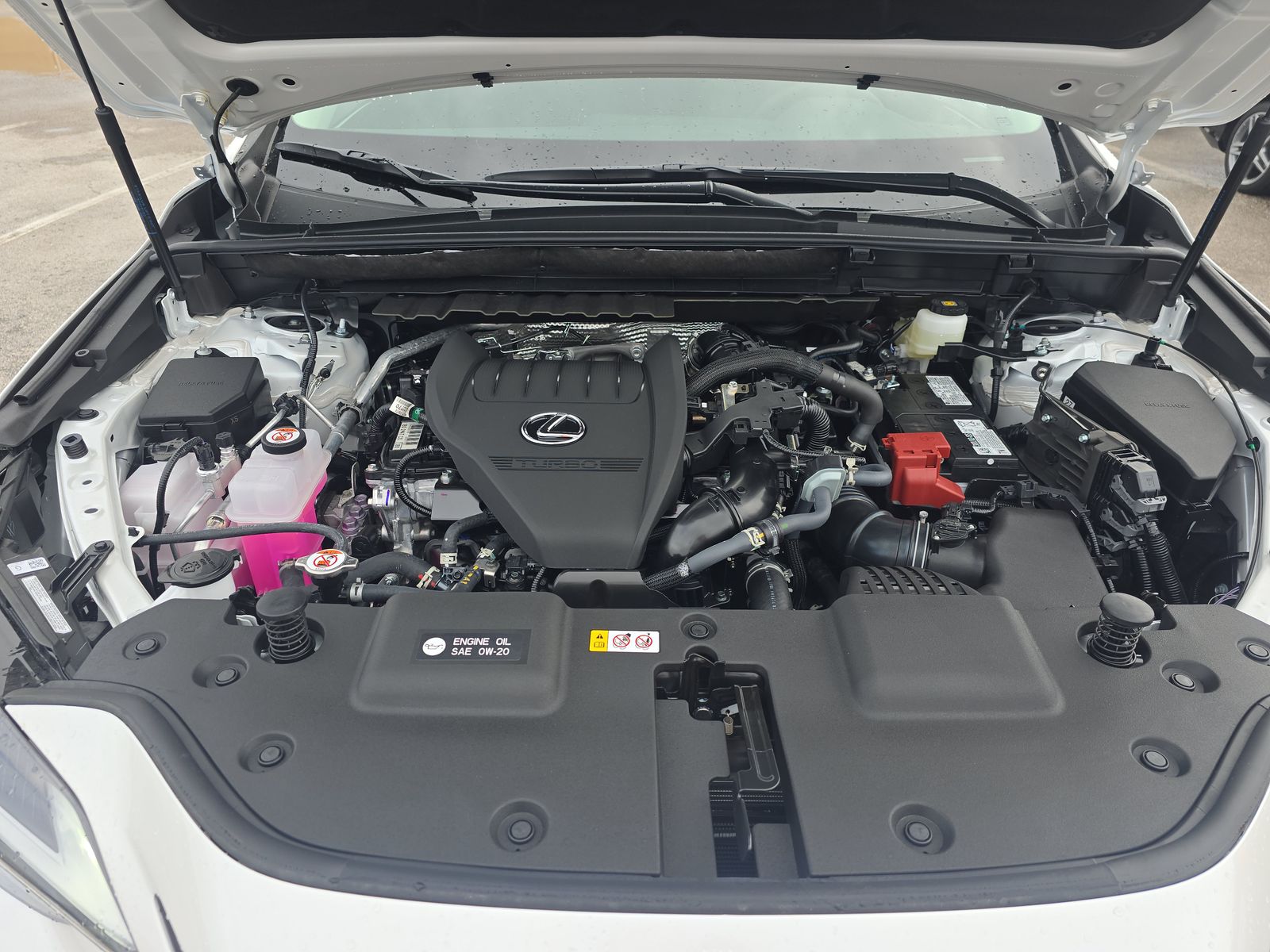 2025 Lexus NX NX 350 Premium AWD