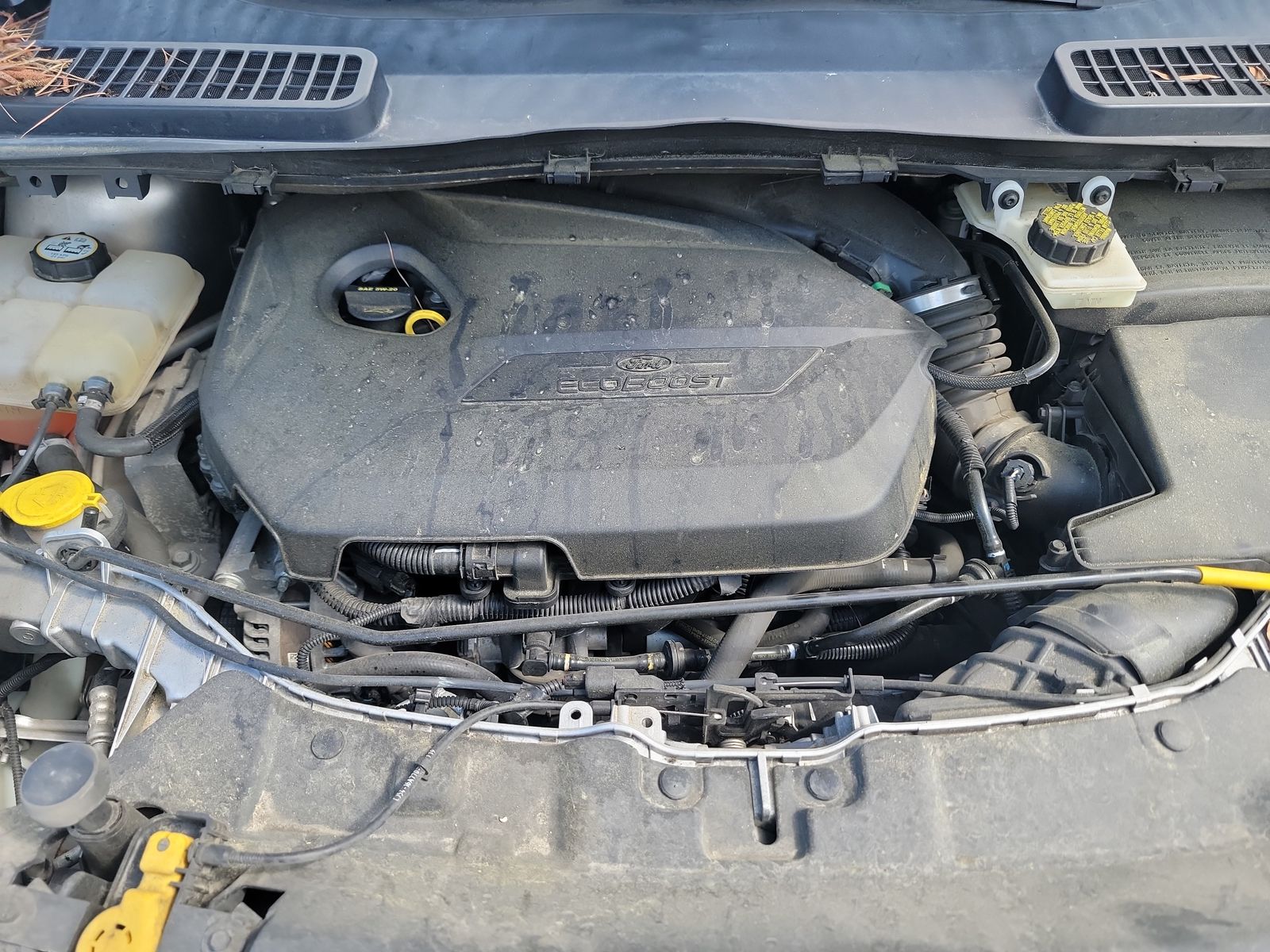 2014 Ford Escape SE FWD