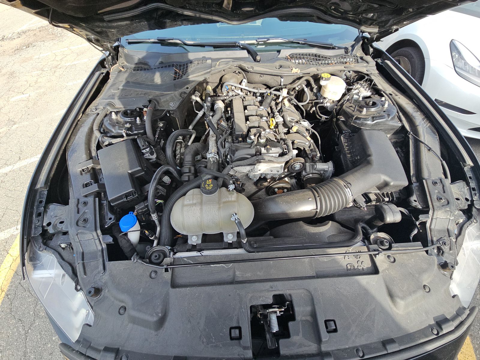 2023 Ford Mustang EcoBoost Premium RWD