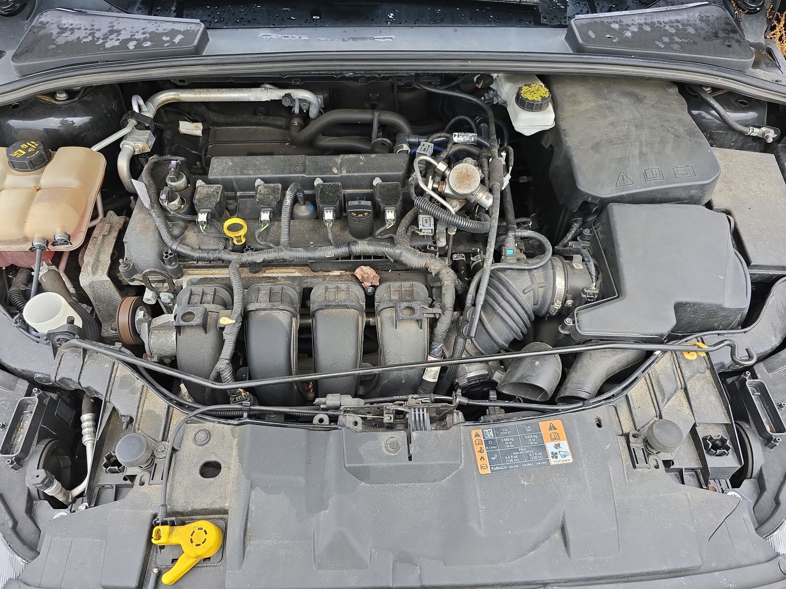 2018 Ford Focus SEL FWD