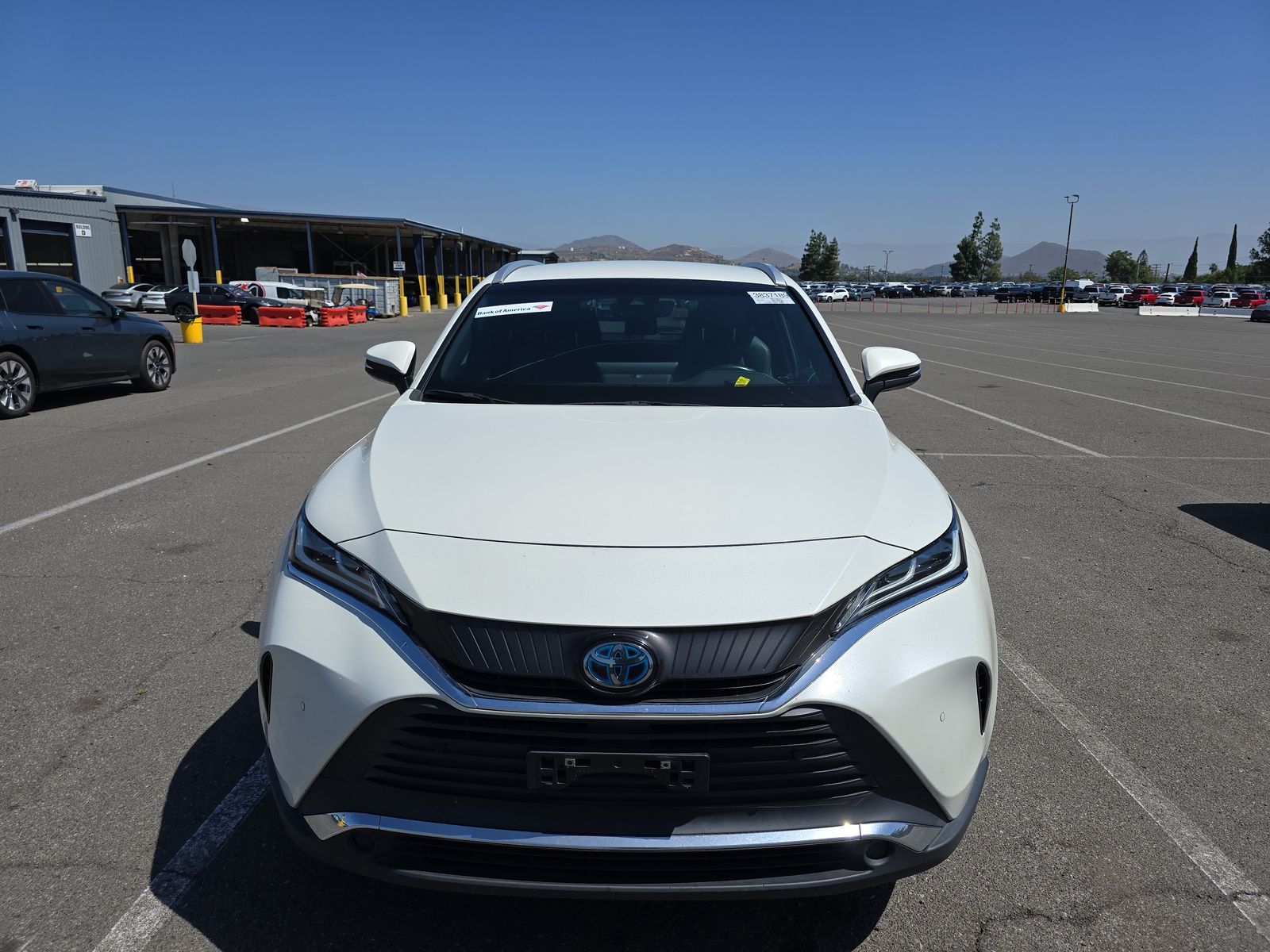 2021 Toyota Venza XLE AWD