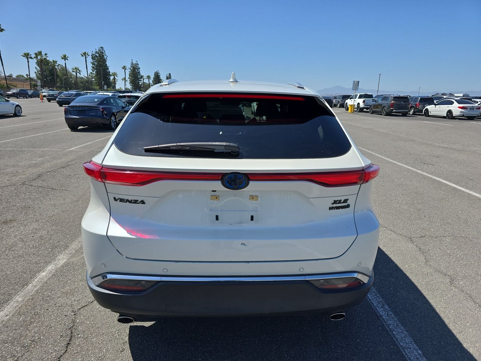 2021 Toyota Venza XLE AWD