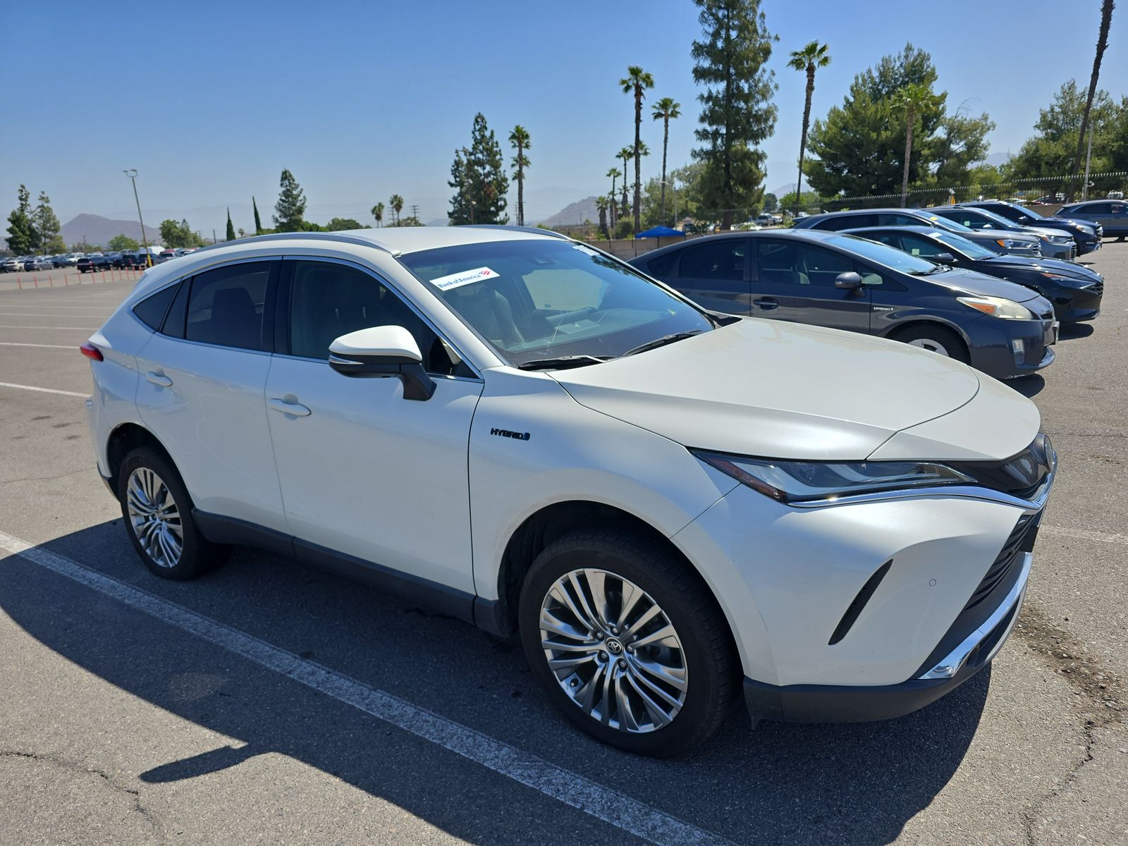 2021 Toyota Venza XLE AWD