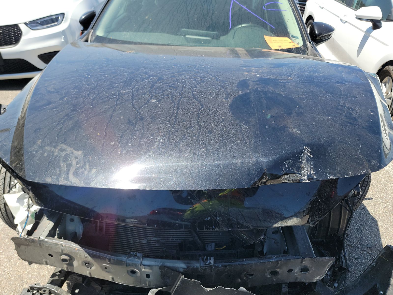 3MZBPABM6RM428379 | 2024 MAZDA MAZDA3 | История продажи