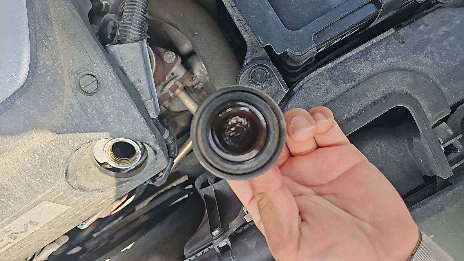 2010 Honda Accord EX-L FWD