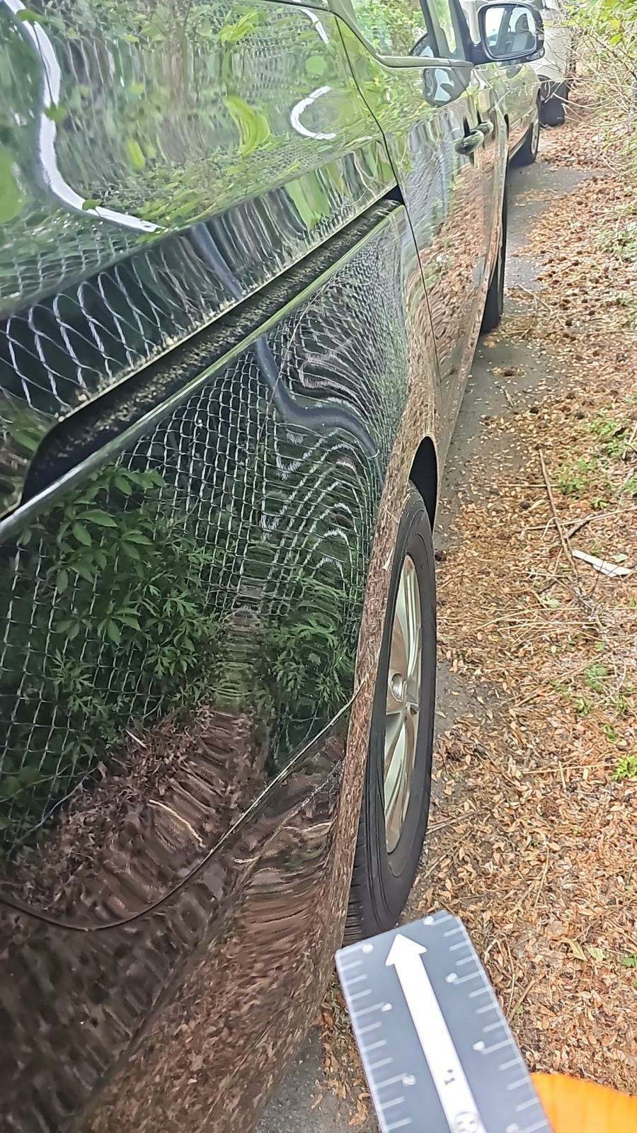2020 Kia Sedona LX FWD