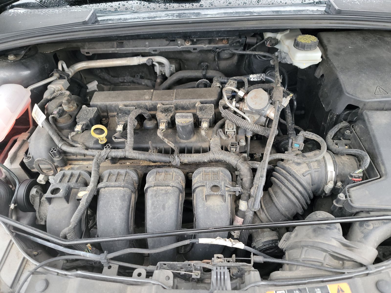 2017 Ford Focus SE FWD