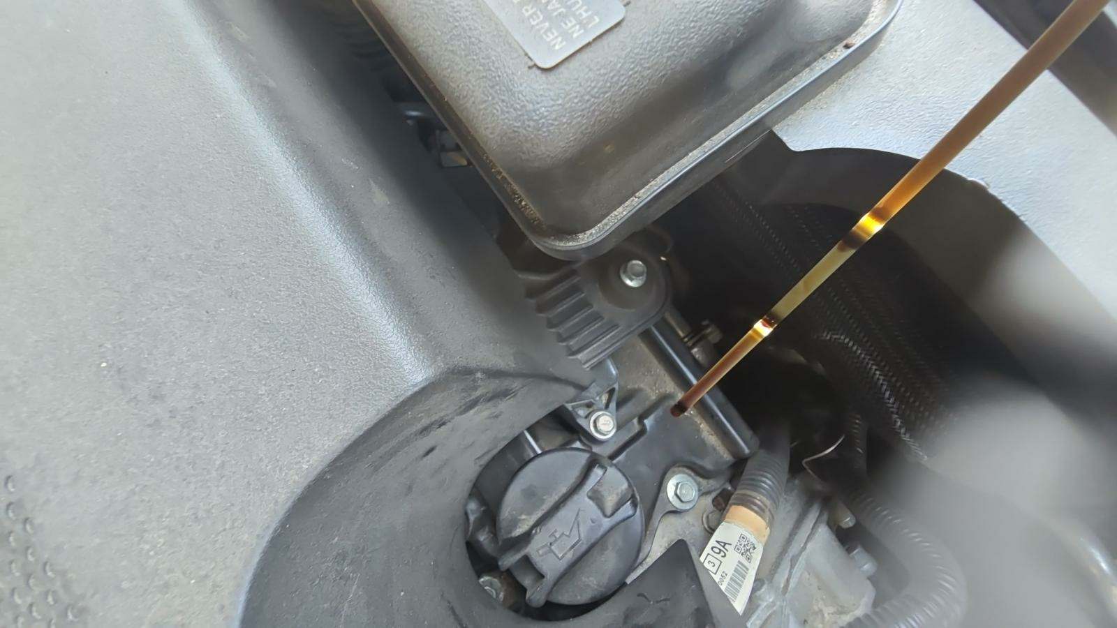 2023 Nissan Murano SL AWD