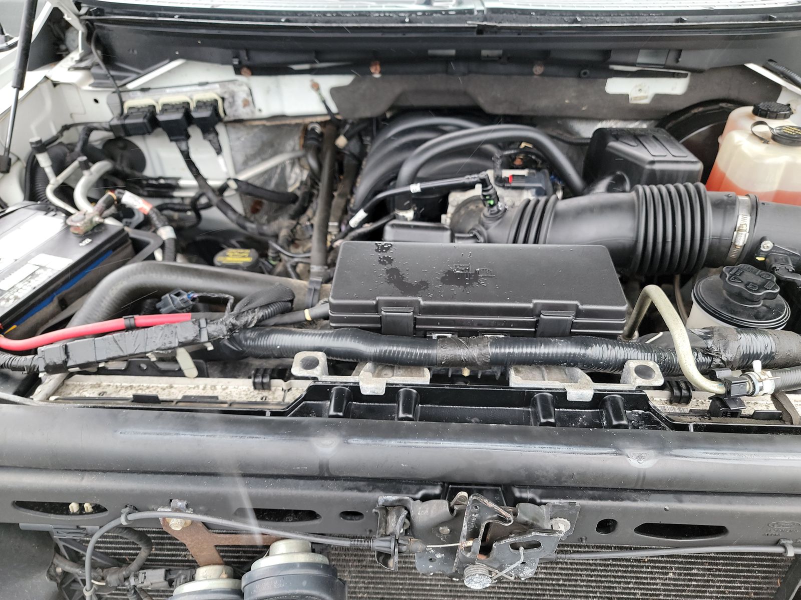 2010 Ford F-150 XL FWD