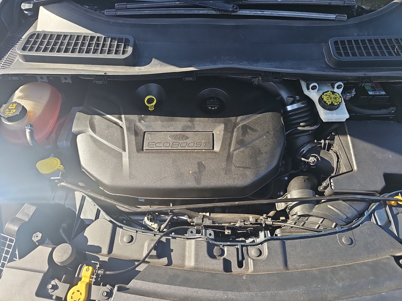 2019 Ford Escape SE AWD