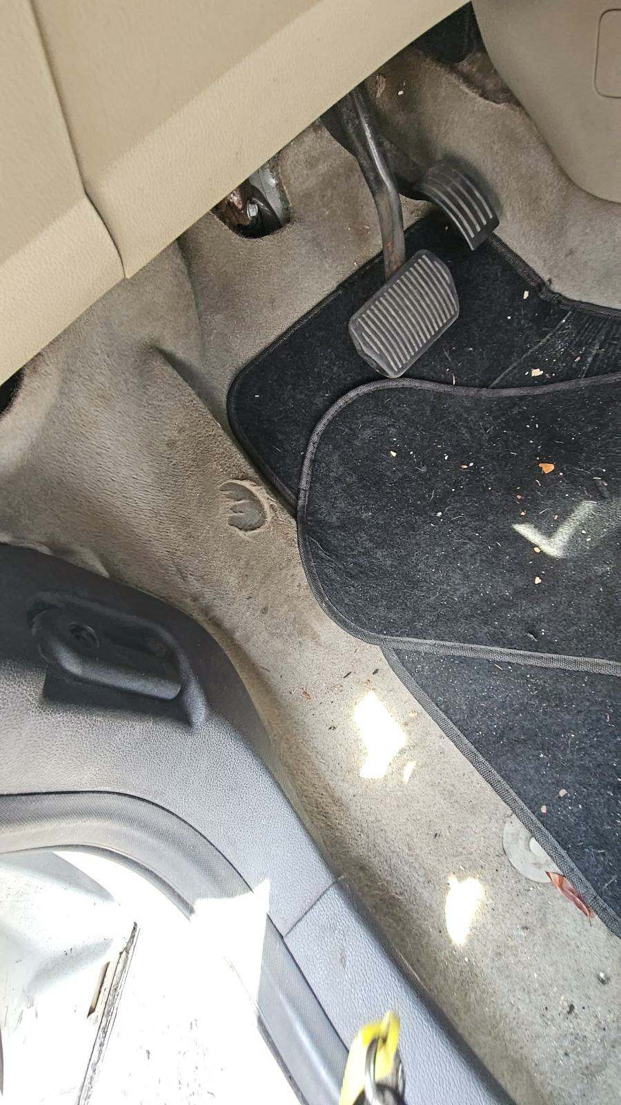 2014 Ford Escape SE FWD