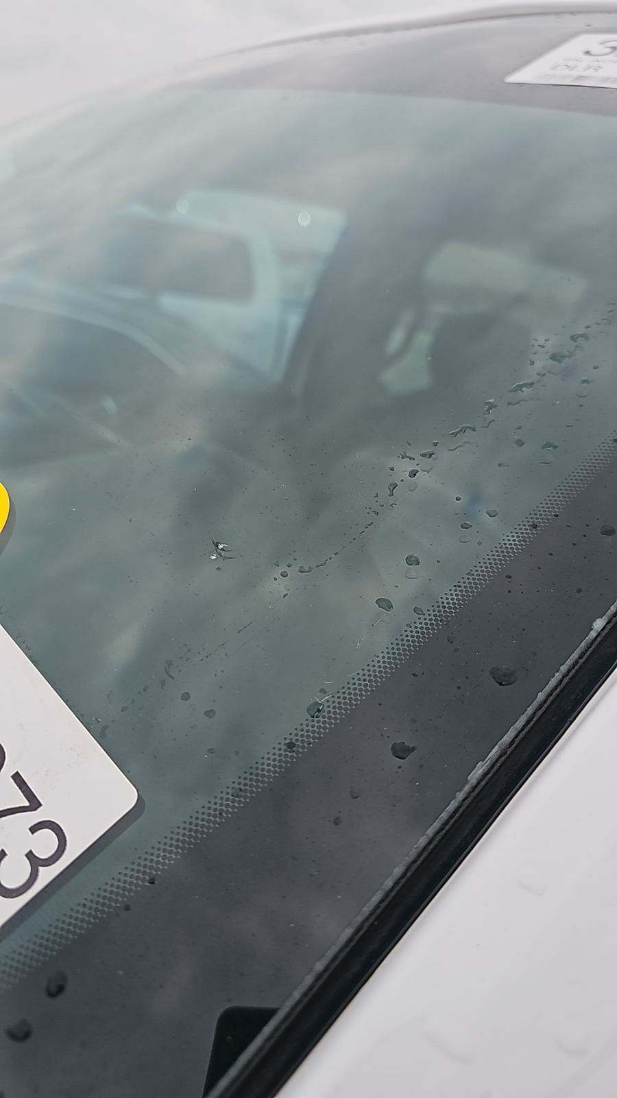 2018 Ford F-150 XLT RWD