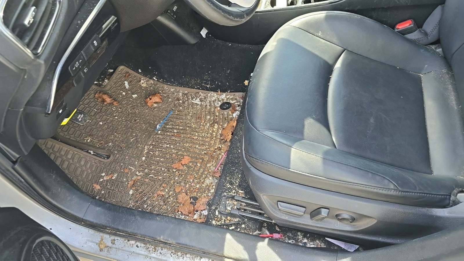 2018 Toyota Prius Prime Premium FWD