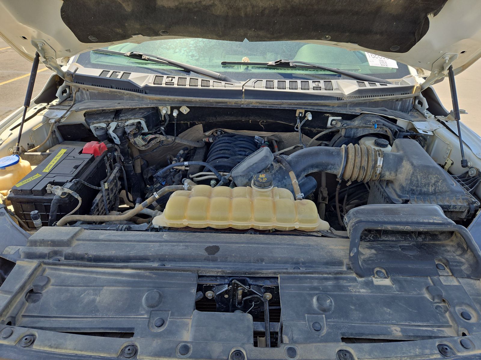 2019 Ford F-150 XLT AWD