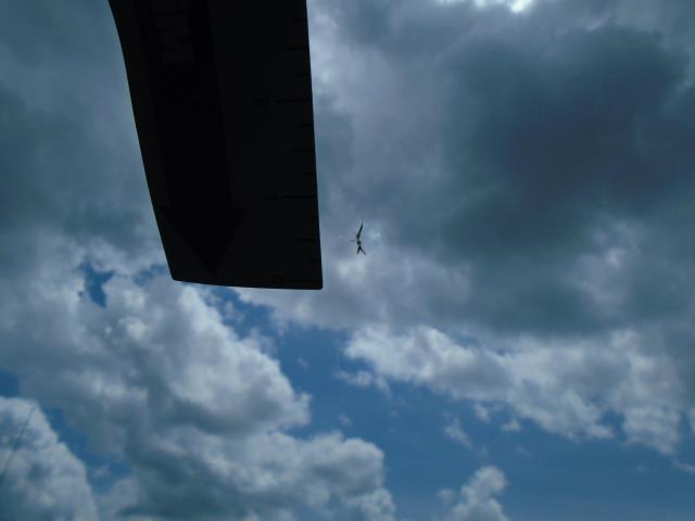 2023 Nissan Murano SV FWD