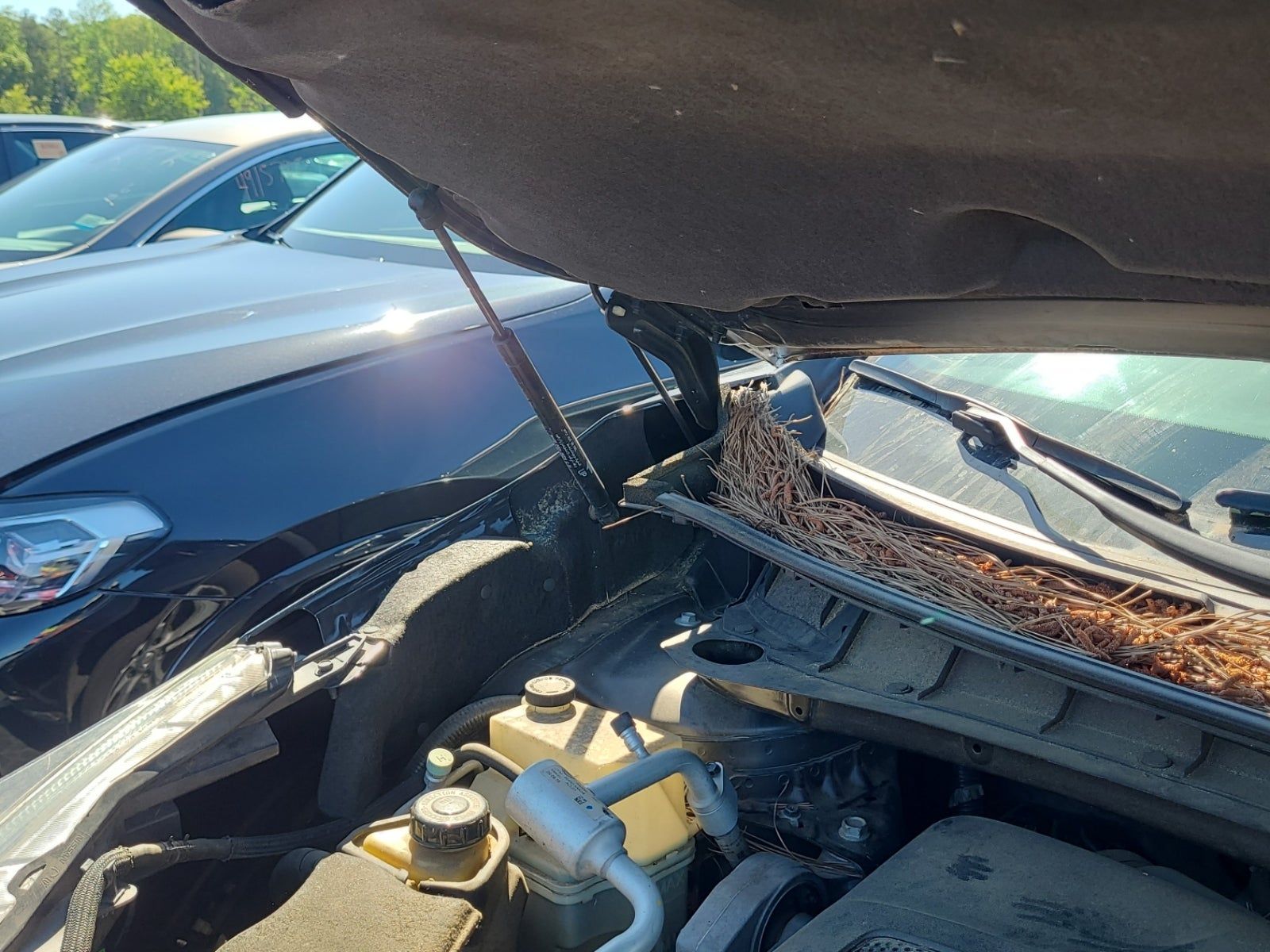 2017 Nissan Murano SL FWD