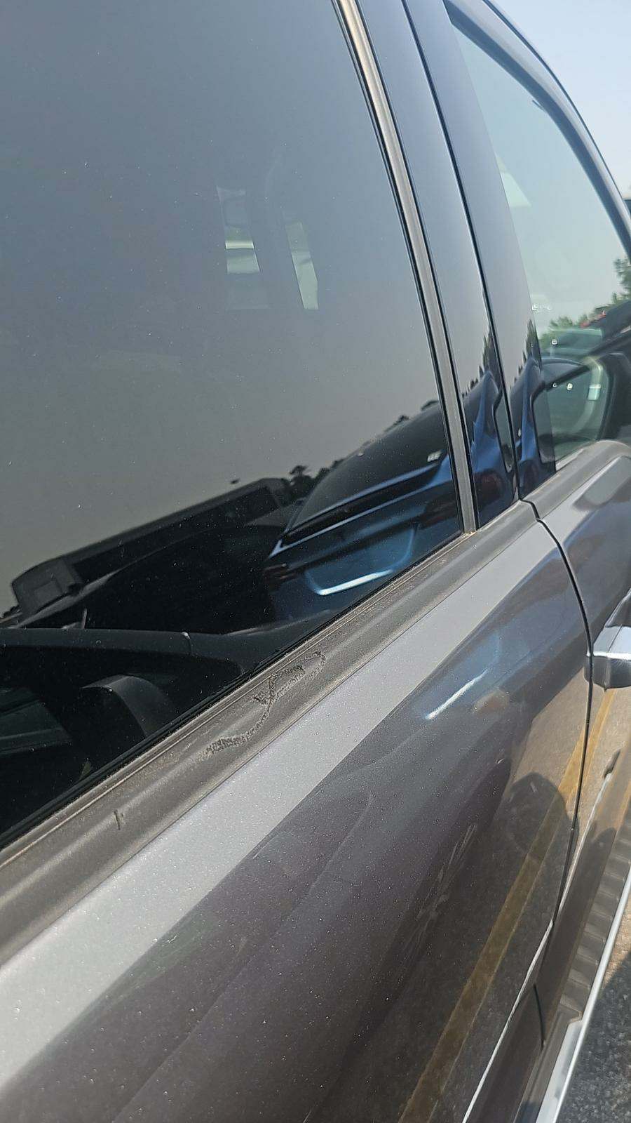 2024 Ford F-150 Hybrid XLT AWD