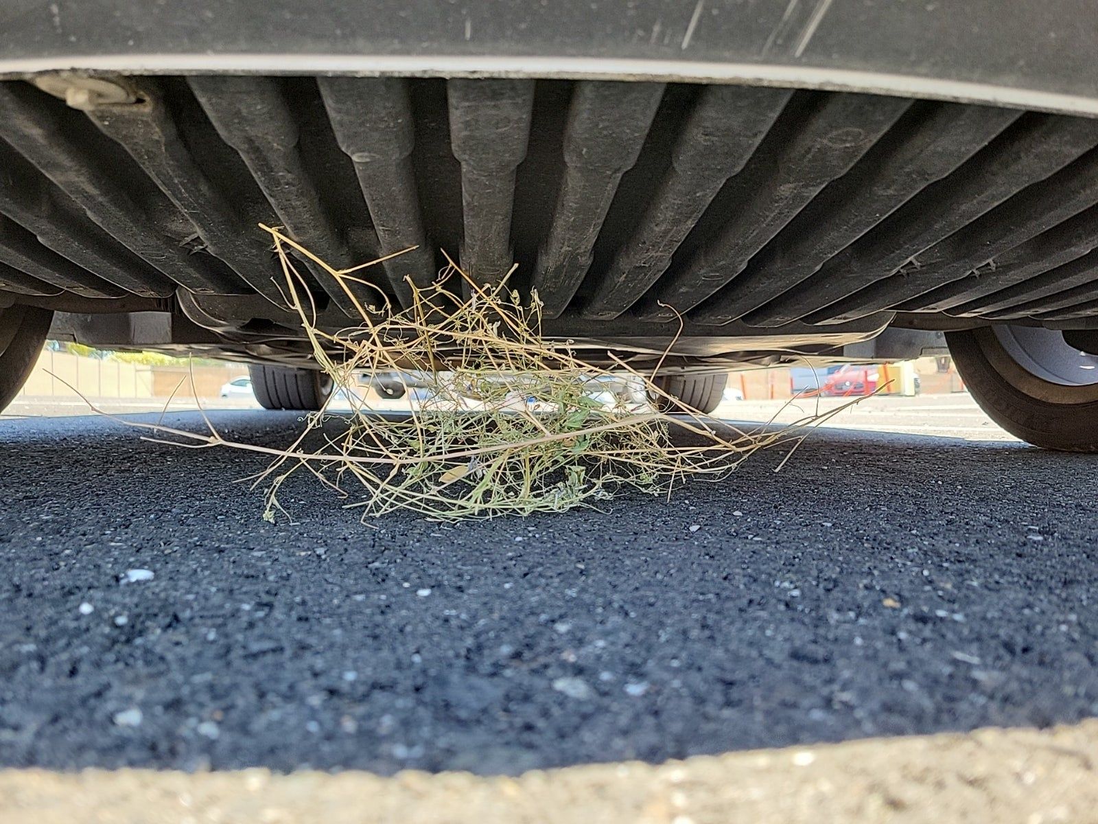 2013 Mercedes-Benz SLK SLK 250 RWD