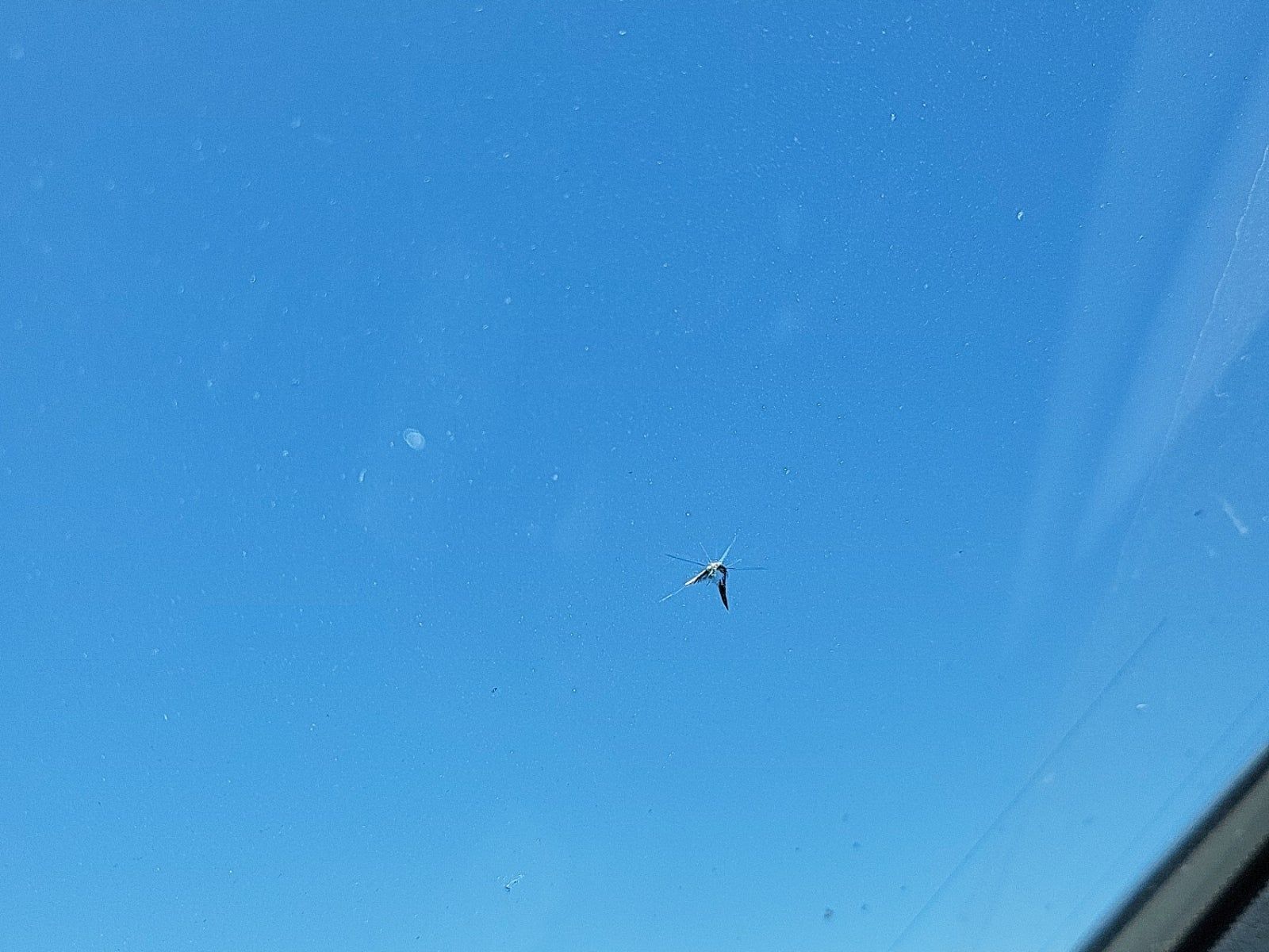 2013 Mercedes-Benz SLK SLK 250 RWD